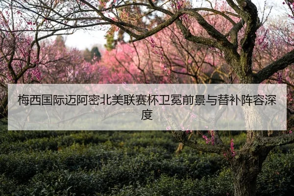 梅西国际迈阿密北美联赛杯卫冕前景与替补阵容深度